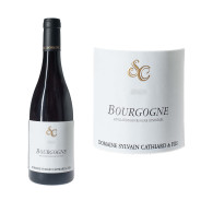 Bourgogne Rouge Domaine Sylvain Cathiard 2023