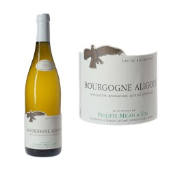 Bourgogne Aligoté 2023 - Domaine Milan