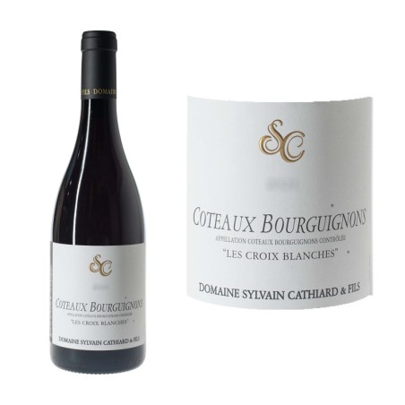 Coteaux Bourguignons 2023 – Domaine Sylvain Cathiard