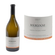 Bourgogne Côte d'Or Blanc 2023 Domaine Tollot-Beaut
