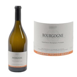 Bourgogne Côte d'Or Blanc 2023 Domaine Tollot-Beaut