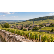 Côte de Beaune