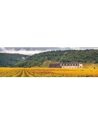 Côte de Nuits
