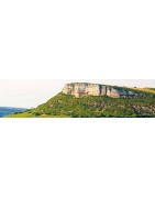 Côte Chalonnaise et Maconnais