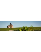 Chablis et Grand Auxerrois
