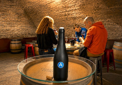Dégustation Privée dans Notre Cave du XVIIIᵉ Siècle à Dijon