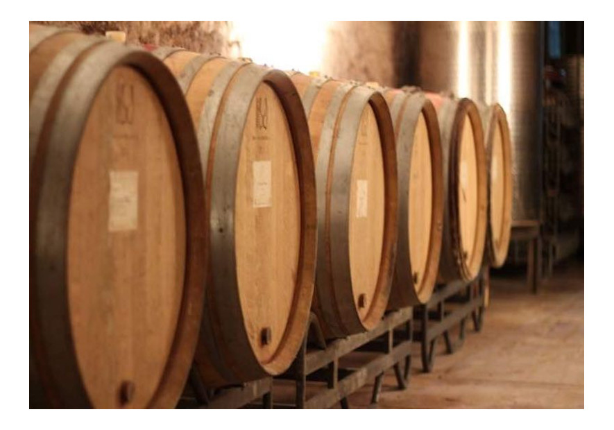Une dégustation de vin à Dijon dans un lieu d’exception