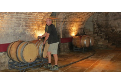Pourquoi les Chablis de Domaine Fèvre sont une référence en matière de minéralité