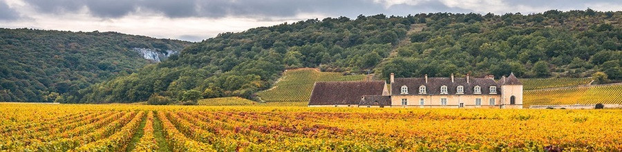 Vins de la Côte de Nuits | La Cave du Chaignot Dijon
