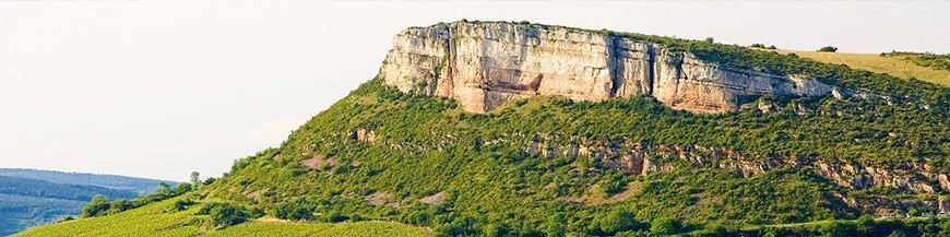 Côte Chalonnaise et Maconnais