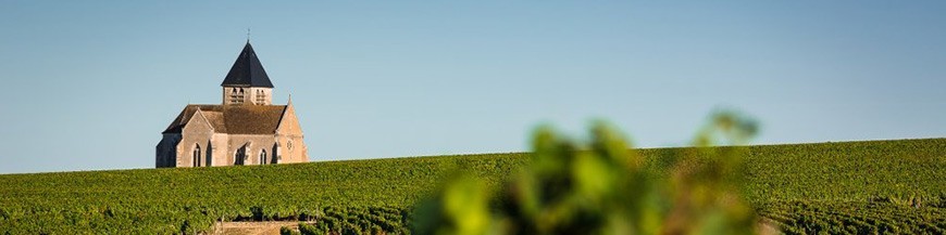 Chablis et Grand Auxerrois