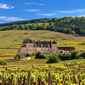 Incontournables de Bourgogne image
