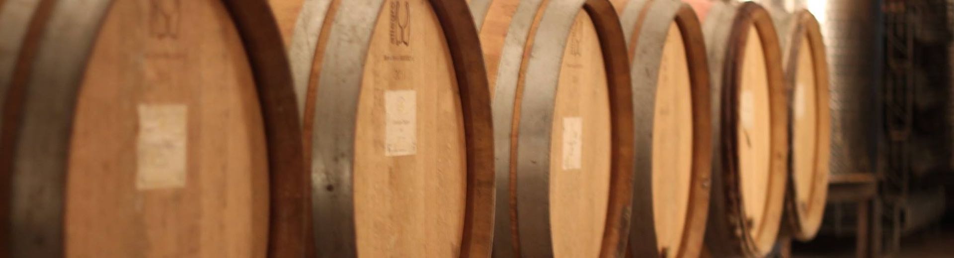 Dégustations de vins image